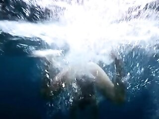 Wild First-timer Cougar Putting On Fantastic Underwater Showcase